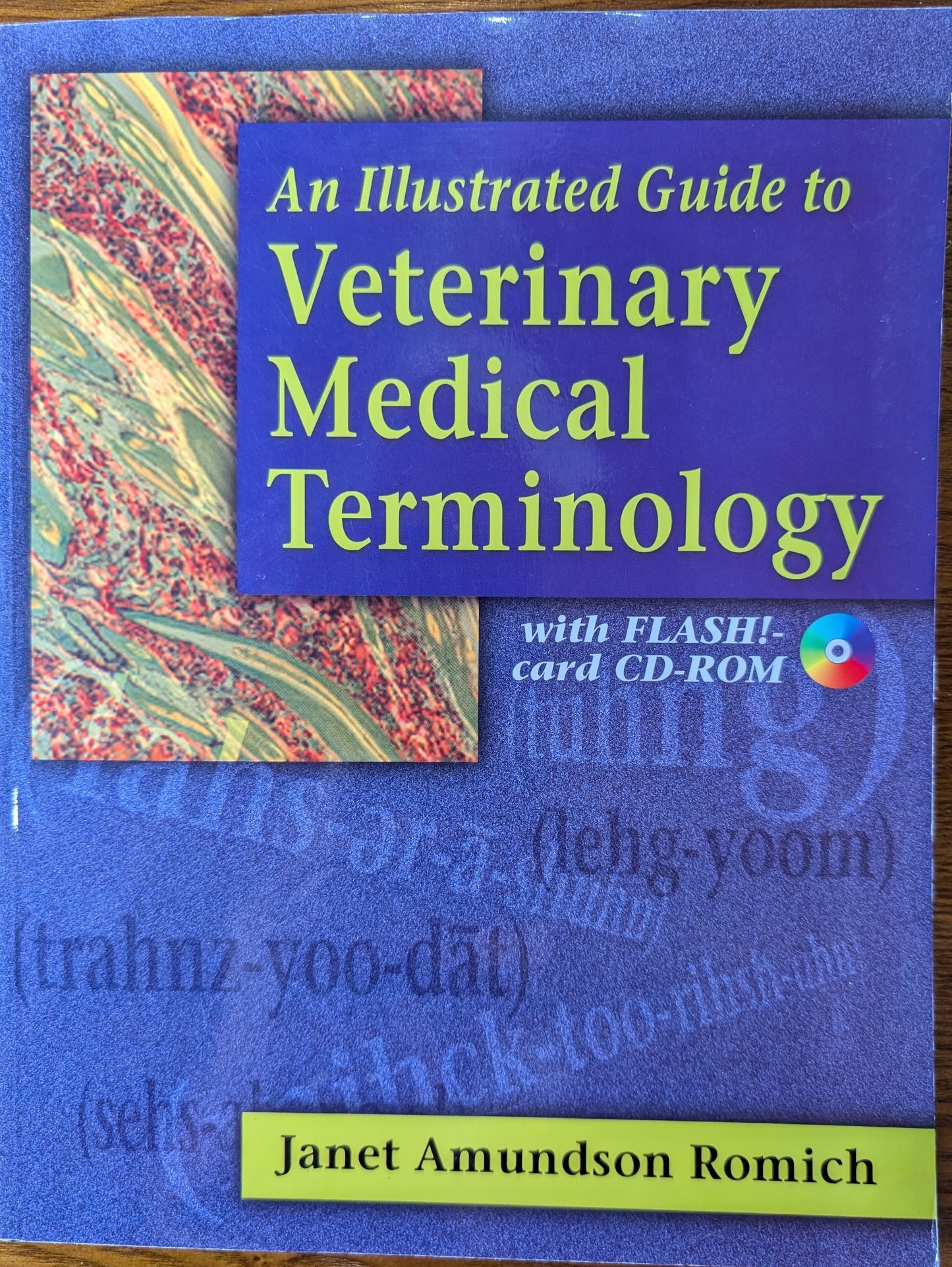An Illustrated Guide to Veterinary Medical Terminology (Hardcover)