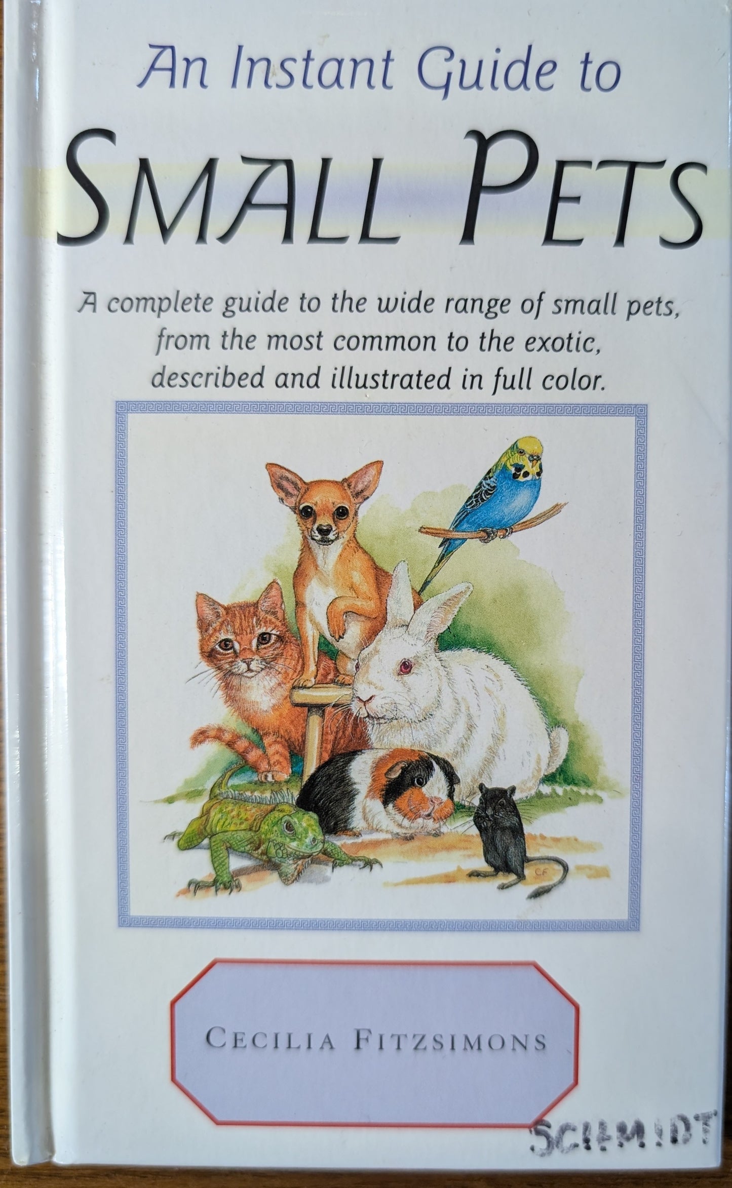 An Instant Guide to Small Animals (Hardcover)