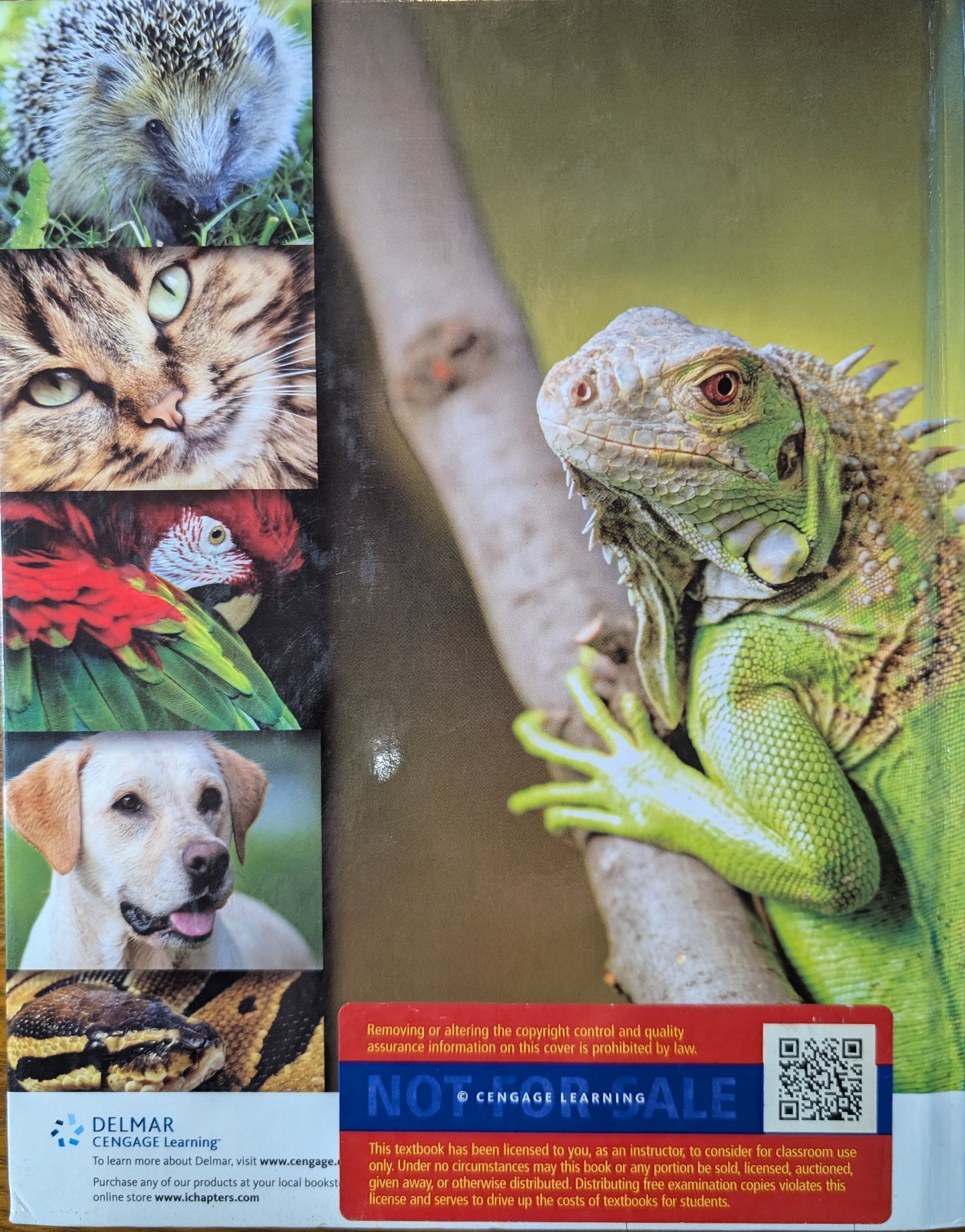 Small Animal Care Management 3rd Edition (Hardcover)