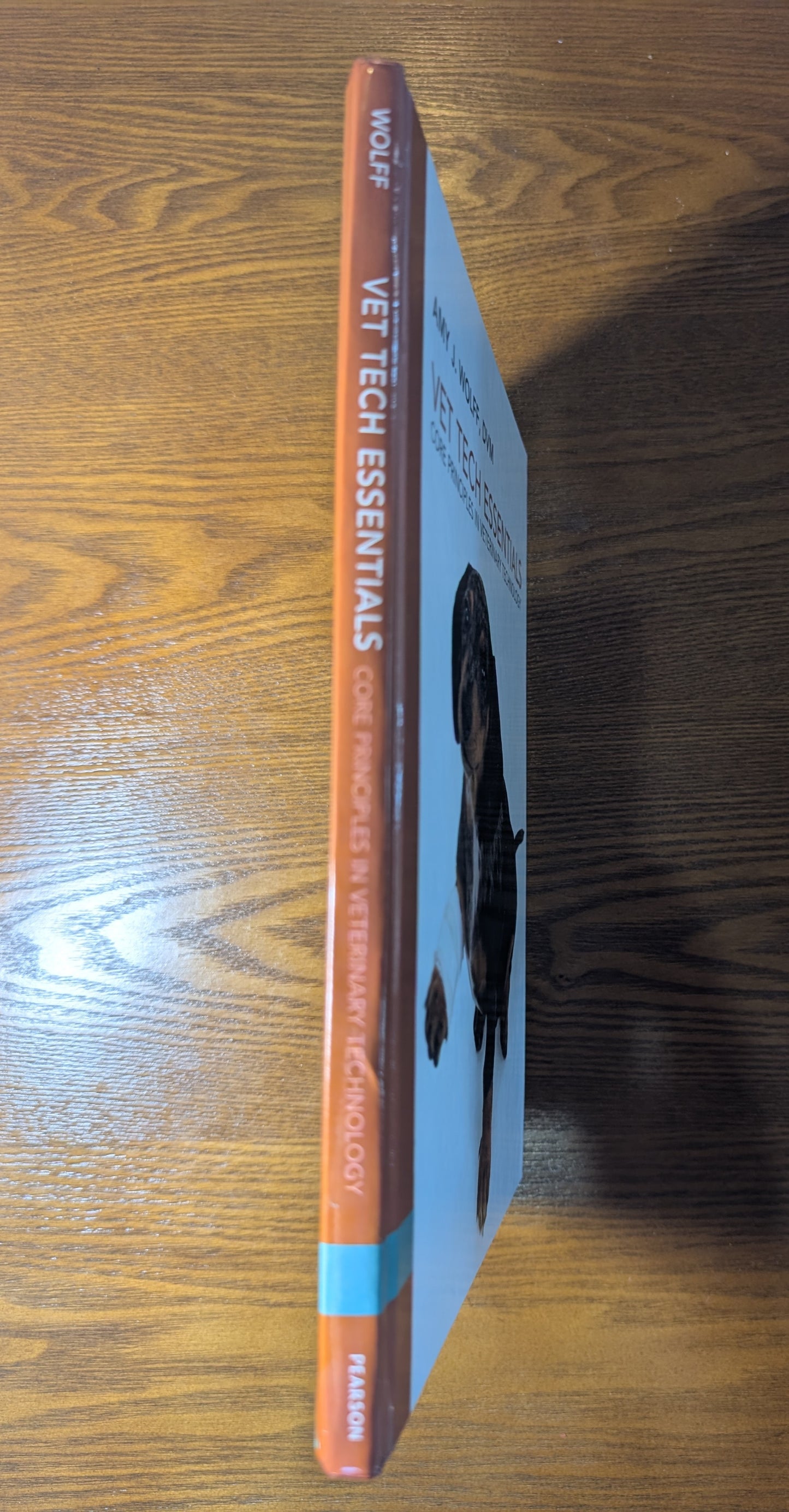 Vet Tech Essentials (Hardcover)