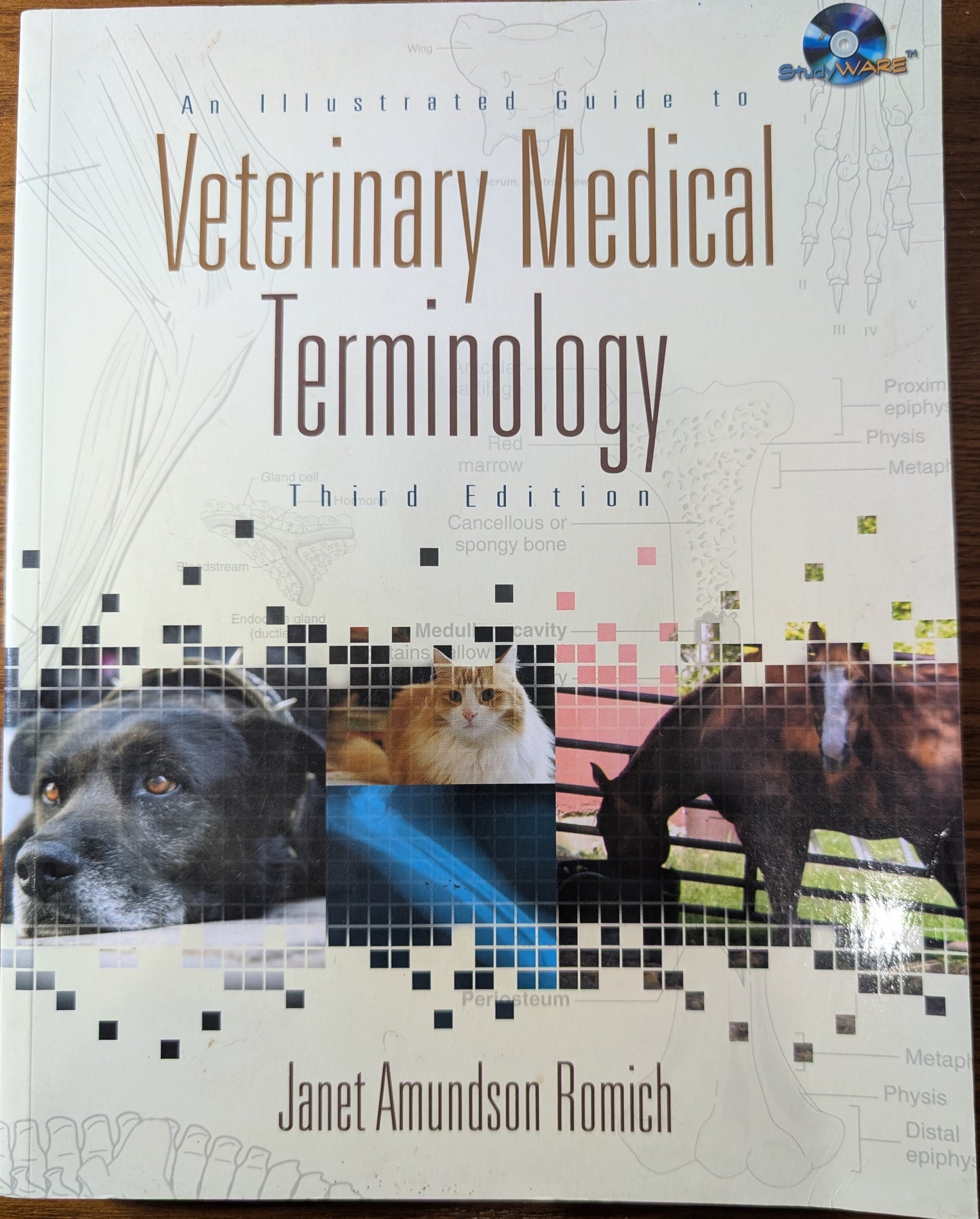 Veterinary Medical Terminology (Softcover)